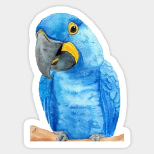 hyacinth macaw watercolor bird parrot painting Sticker